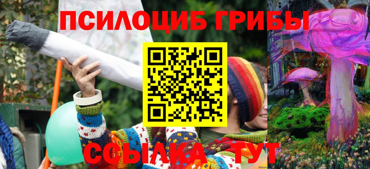 наркота  Галлюциногенные грибы прущие грибы  Вход с VPN  Армавир 